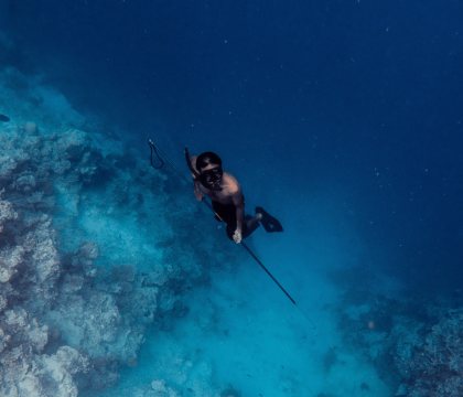 A spearfisherman free dives amongst the reef