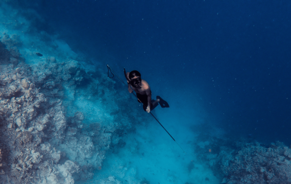 A spearfisherman free dives amongst the reef