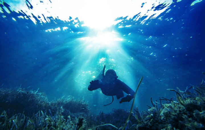 Spearfishing in the waters of Oahu