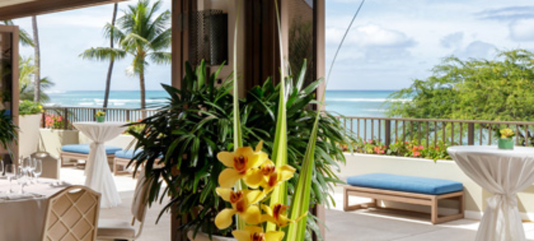Halekulani (Honolulu, Hawaii) Verified Reviews | Tablet Hotels