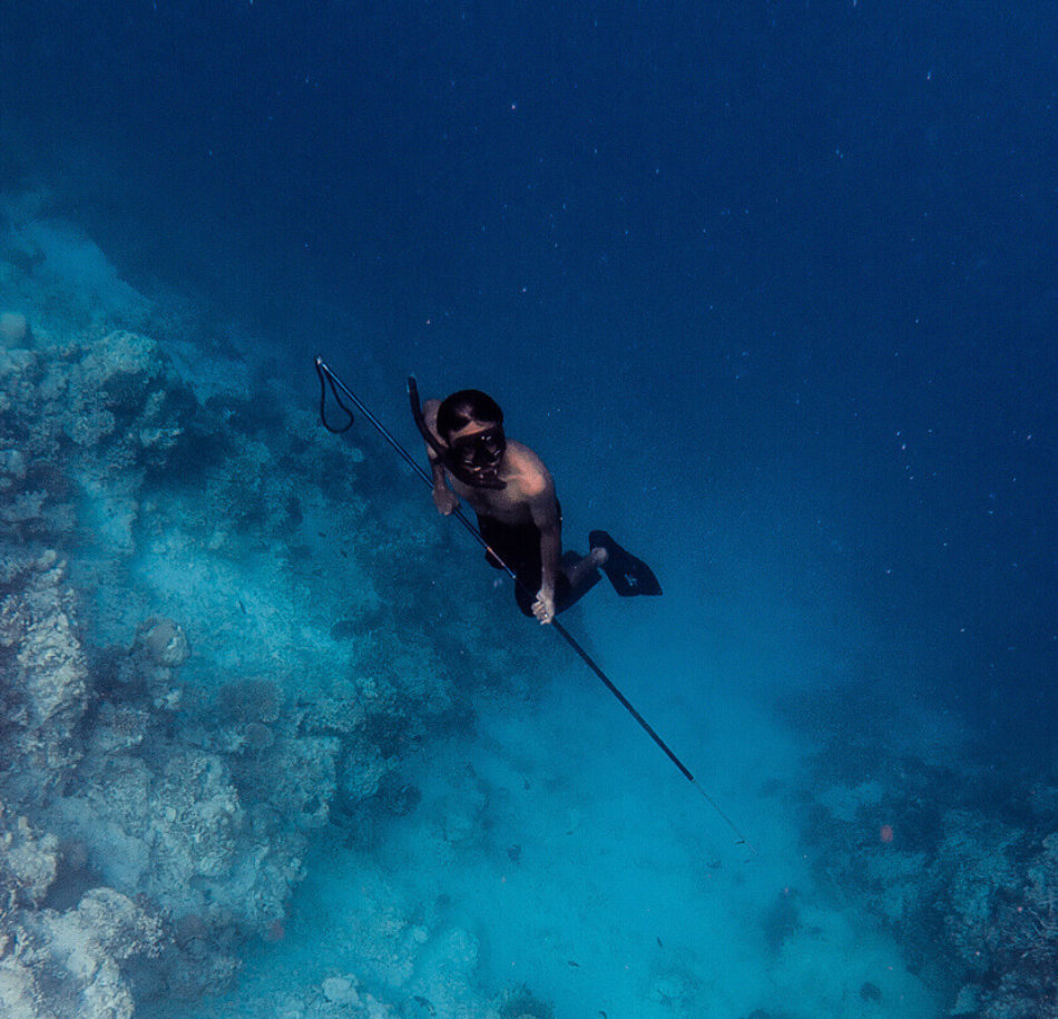 A spearfisherman free dives amongst the reef