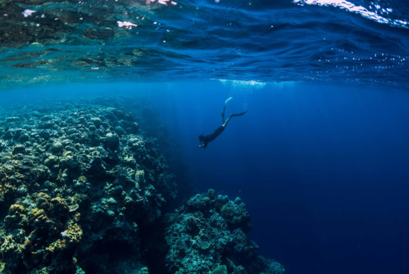 Free diver man dive in ocean, underwater view with rocks and corals