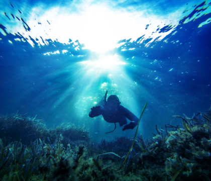 Spearfishing in the waters of Oahu