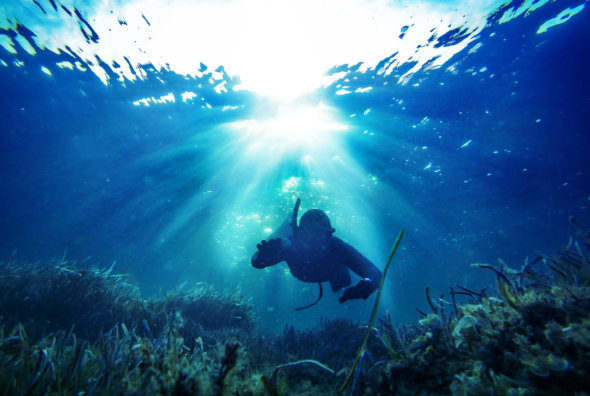 Spearfishing in the waters of Oahu