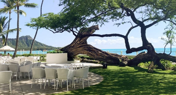 Hula-sm-570x308-c-x50y50.jpg