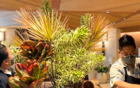 Halekulani Flower Shop Team