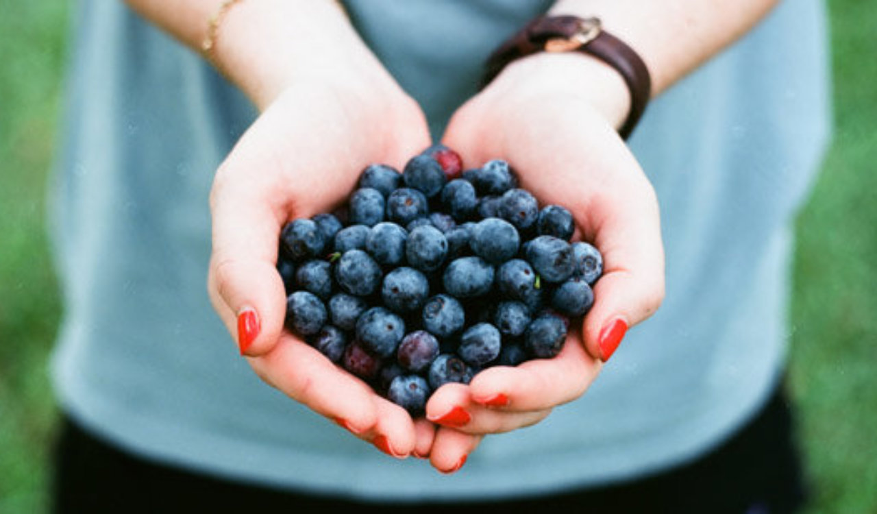 Art of Wellbeing - Relationship with Food