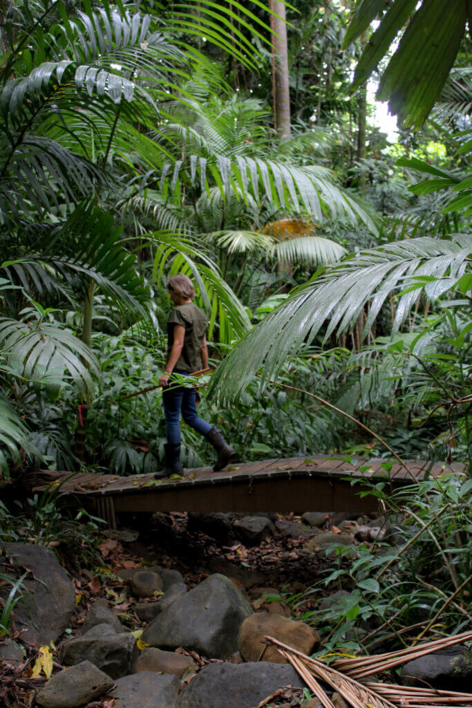 The Merwin Conservancy