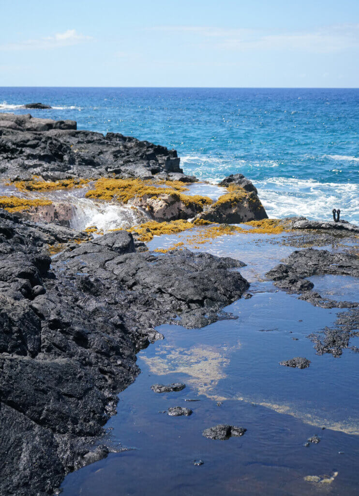 Sea Salts of Hawaii