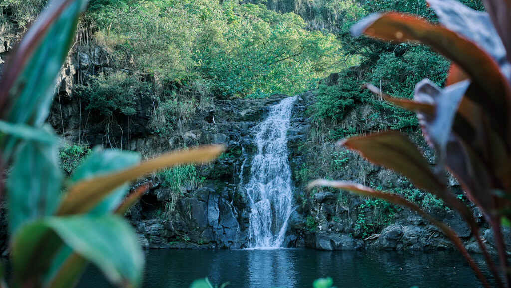 Waimea Valley Botanical Garden