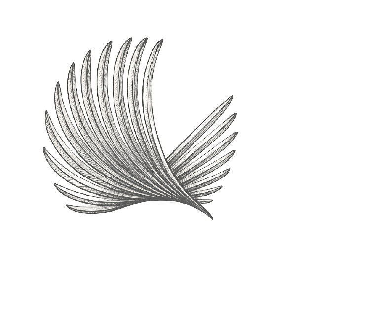 Terns logo